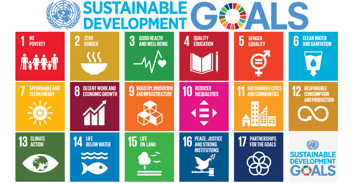 17 UN Sustainable Development Goals