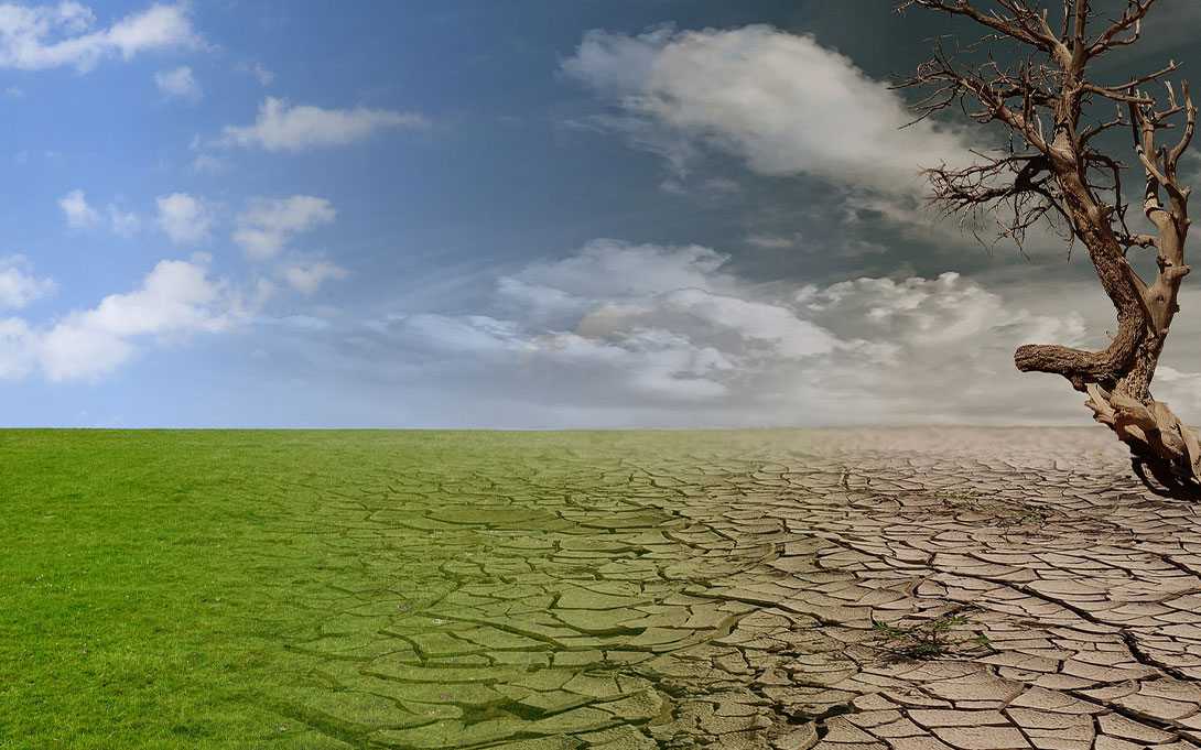 Image where left side is clear skies and green grass, and the right side is dark skies and dry land