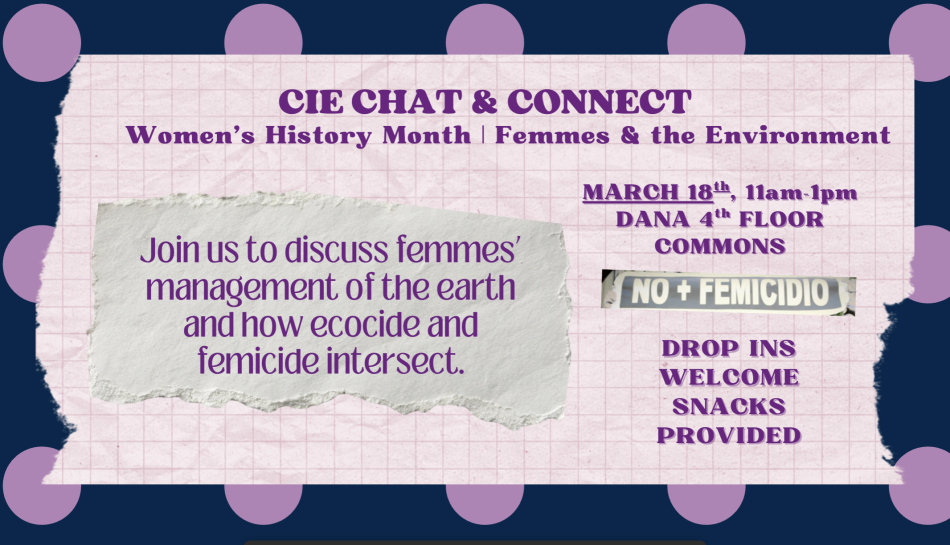 Flyer for CIE Chat & Connect