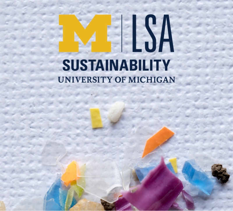 Michigan LSA Sustainability Logo