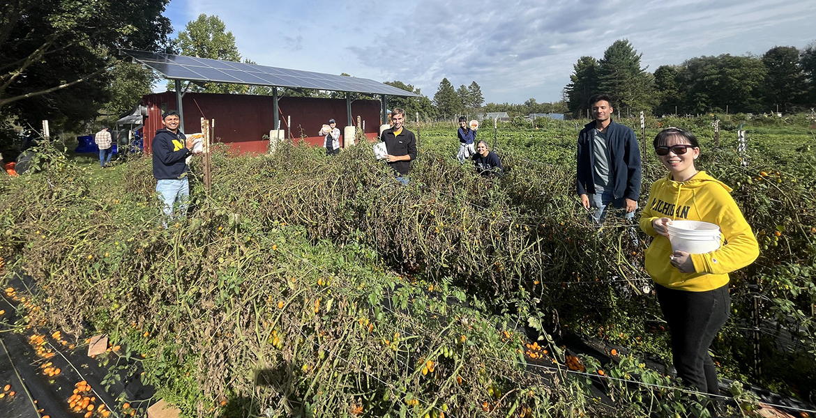 Students standing in a field working